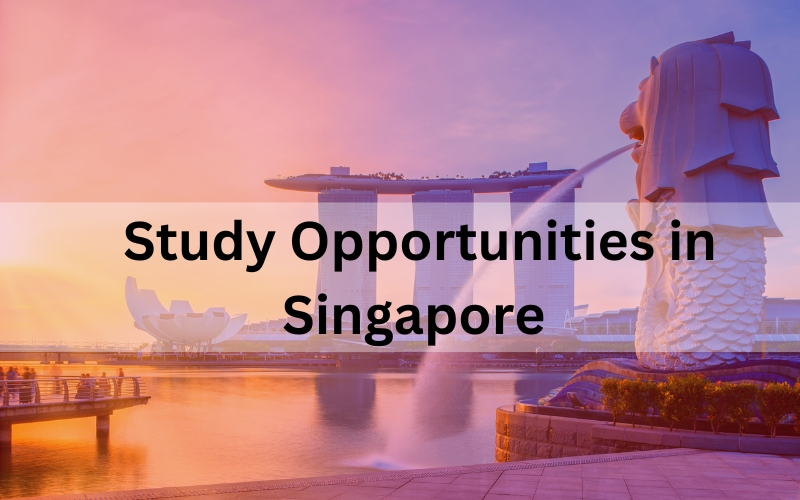 Study Opportunities in Singapore: A Gateway to World-Class Education