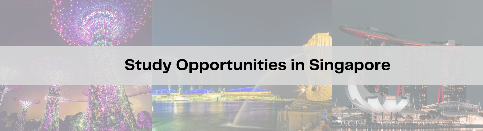 Study Opportunities in Singapore: A Gateway to World-Class Education